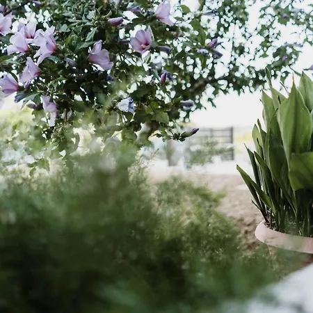 Bed & Breakfast Casalmare 3*